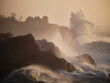 © Pascal Shirley - Crashing Oregon Waves