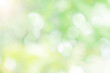 © Anlomaja - Abstract blurred defocus natural green bokeh background, Soft natural bokeh style For aesthetic creative design
