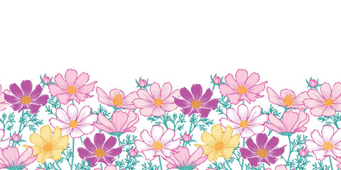 Wall Mural - floral seamless pattern with cosmos flower.horizontal border.hand drawing flower on white background