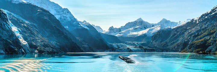 Wall Mural - alaska luxury cruise travel panoramic. scenery landscape panorama with humpback whale composite brea