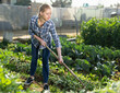 © JackF - Portrait of smiling female working with hoe, hoeing vegetable garden soil