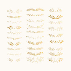 Wall Mural - Set of hand drawn golden dividers and laurels. Vector isolated illustration.