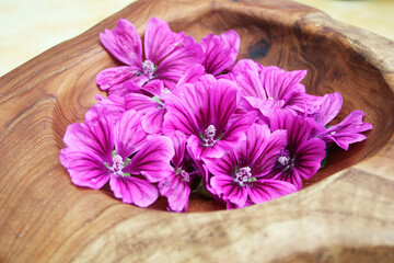 Mallow Blossoms in a Bowl, Spa treatment, Wellness