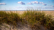 © AlexWolff68 - Dünengras am Strand von St. Peter Ording