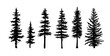 © Anna - Set of tree silhouettes of different types and shapes isolated on white background. Illustration.