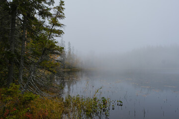 Wall Mural - Autumn Photo of a lake and forest on a foggy morning