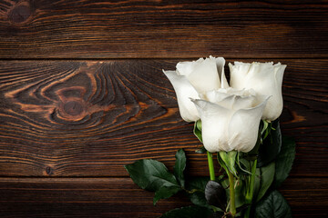 Wall Mural - White roses on dark wooden background.