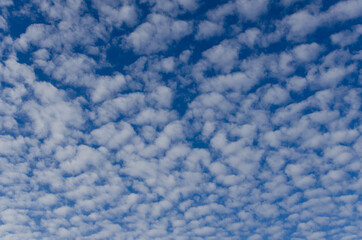 Sticker - cloudy sky, beautiful clouds in morning