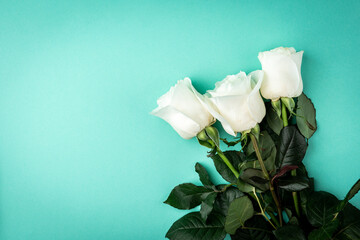 Wall Mural - White roses on green background.