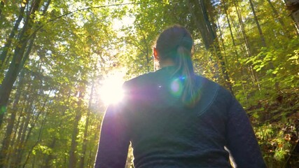 Wall Mural - SLOW MOTION, LENS FLARE, CLOSE UP: Girl enjoys a relaxing trek around a forest changing colors. Fit young woman hiking in Slovenia observes the beautiful autumn colored forest on a sunny fall day.