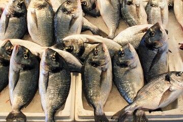 Stalls with sea food at fish market in Athens, Greece.