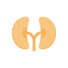 Poster - ureters