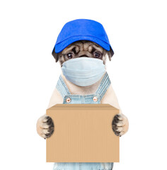 Poster - Pug puppy wearing medical protective mask, red cap and overalls holds big box. isolated on white background