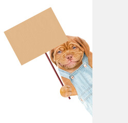 Poster - Smiling dog wearing overalls  holds empty placard behind empty banner. isolated on white background