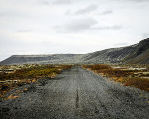 Icelandic wild road. Lonely landscape