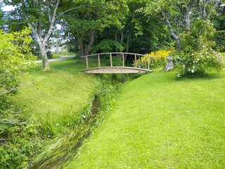  path in the park and a bridge over the water