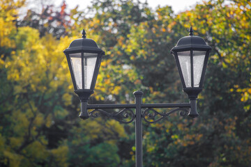 Poster - beautiful street lamp on a background of autumn leaves.