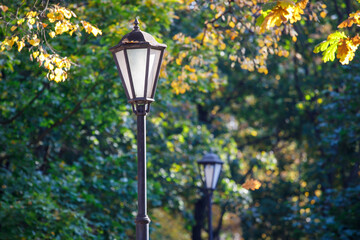 Poster - beautiful street lamp on a background of autumn leaves.