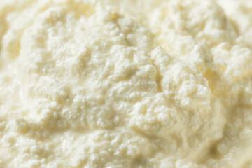 Wall Mural - Healthy Organic Ricotta Cheese