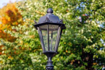 Poster - beautiful street lamp on a background of autumn leaves.