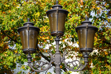 Poster - beautiful street lamp on a background of autumn leaves.