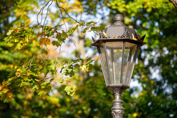 Poster - beautiful street lamp on a background of autumn leaves.