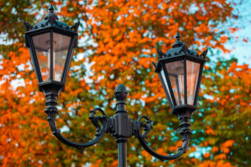 Wall Mural - beautiful street lamp against the blue sky