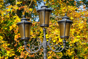 Poster - beautiful street lamp on a background of autumn leaves.