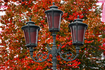 Wall Mural - beautiful street lamp against the blue sky