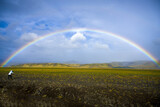 Fototapeta Tęcza - Photographing a Rainbow