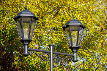 Poster - beautiful street lamp on a background of autumn leaves.