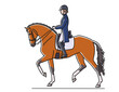 Brown horse and dressage rider