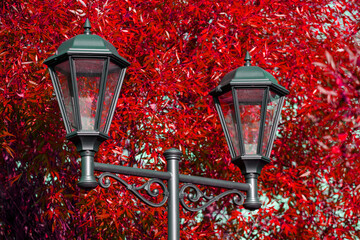 Poster - beautiful street lamp against the blue sky