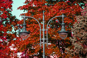 Poster - beautiful street lamp against the blue sky