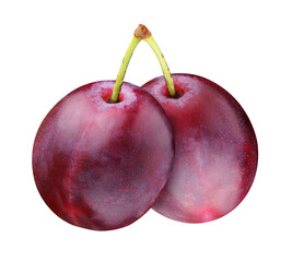 Wall Mural - two whole purple plums, isolated on a white