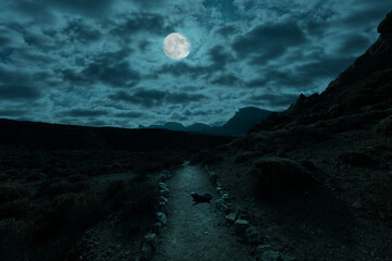 a mysterious night scene in the caldera of tenerife. the full moon is in the sky and illuminates the