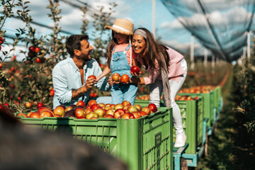 Happy family enjoying together while picking apples in orchard.