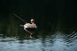 © LÔøΩÔøΩa Jones/Stocksy - child on float in lake with fishing rod
