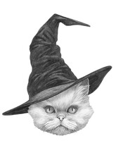 Portrait Of Persian Cat With A Witch Hat. Halloween Illustration