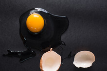 Small Bird's Egg With Broken Shell Free Stock Photo - Public Domain ...
