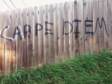 Carpe Diem, Graffiti On A Fence, Seize The Day