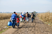 Refugees And Migrants Walking On Fields. Group Of Refugees From Syria, Iraq And Afghanistan On Their Way To European Union. Balkan Route. People Walking 