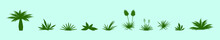 Set Of Yucca Plant Cartoon Icon Design Template With Various Models. Vector Illustration Isolated On Blue Background