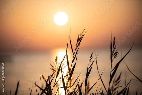 Fotografía Sonnenuntergang am Ringkøbing Fjord