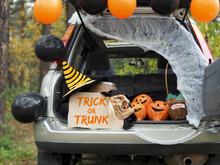 Trick Or Trunk. Concept Celebrating Halloween In Trunk Of Car. New Trend Celebrating Traditional October Holiday Outdoor. Social Distance And Safe Alternative Celebration During Coronavirus Covid-19