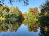 Fototapeta Łazienka - autumn trees reflected in water