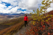 © edb3_16 - Scenic View of Woman Hiking on a Cloudy Fall Day in Canadian Nature. Taken in Tombstone Territorial Park, Yukon, Canada.