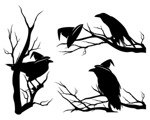 Wall Mural - black raven bird wearing witch hat sitting on bare tree branch - halloween theme vector design set