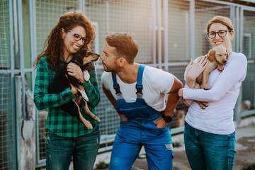 Wall Mural - Young handsome worker helping two young women friends to adopt beautiful dogs.