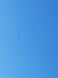 Fototapeta Tęcza - airplane in the sky